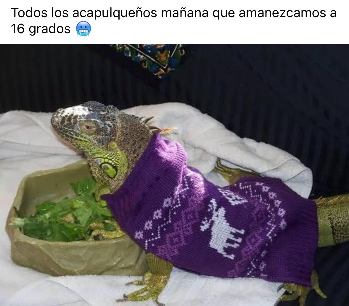 Persisten las bajas temperaturas en Acapulco: Meteorólogo atribuye fenómeno al calentamiento global