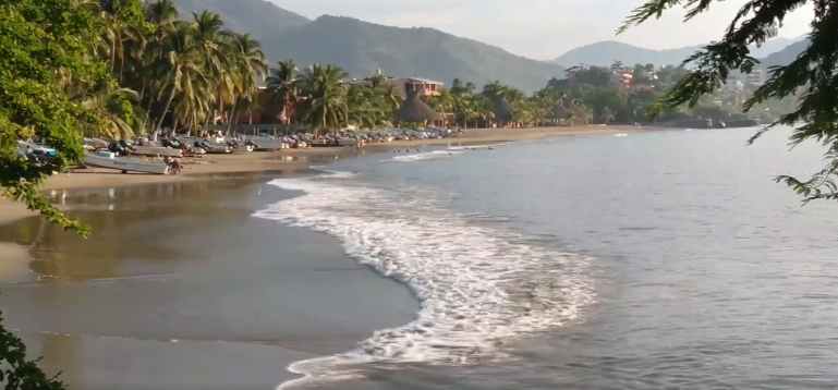 Cooperativa de buzos monitorea niveles de saxitoxinas ante fenómeno de marea roja en Zihuatanejo