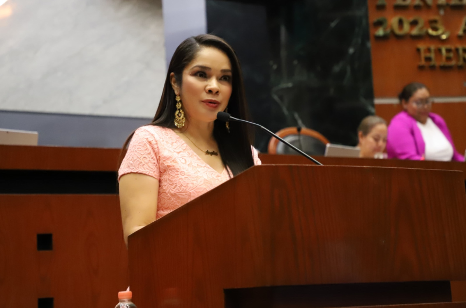 Diputada Angélica Espinoza, propone reformas para combatir la sequía en Guerrero