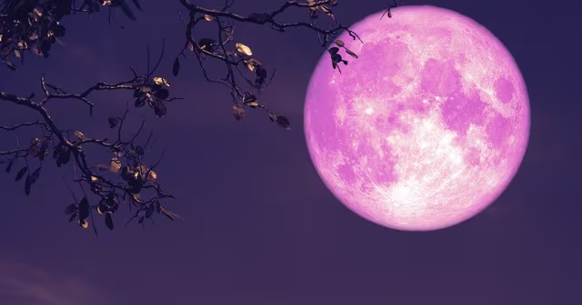 La Luna Rosa: Una belleza celeste ligada a la primavera, disfrútala hoy