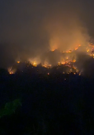 Incendios forestales amenazan viviendas en colonias de Acapulco