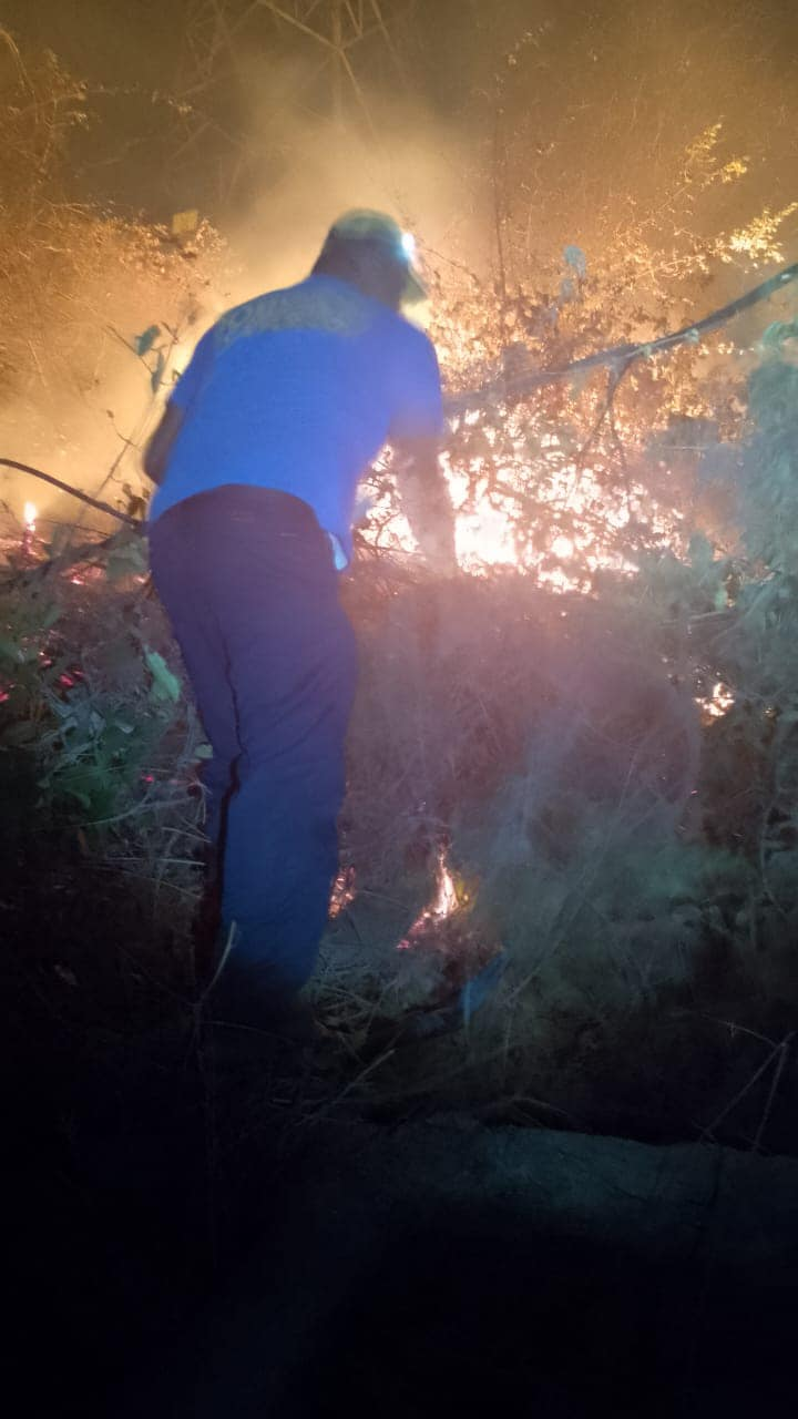 Autoridades trabajan para contener incendios forestales en Acapulco