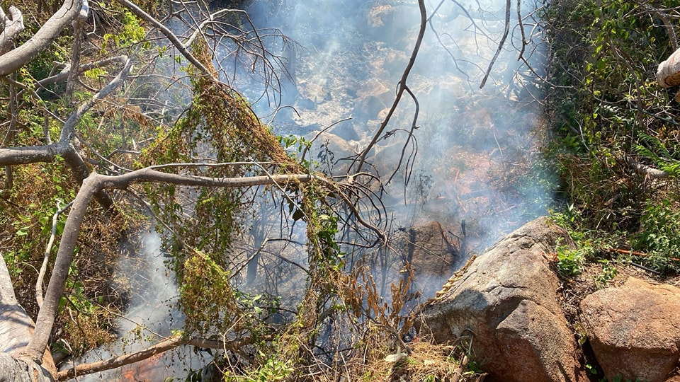 Suspenden clases por contaminación atmosférica