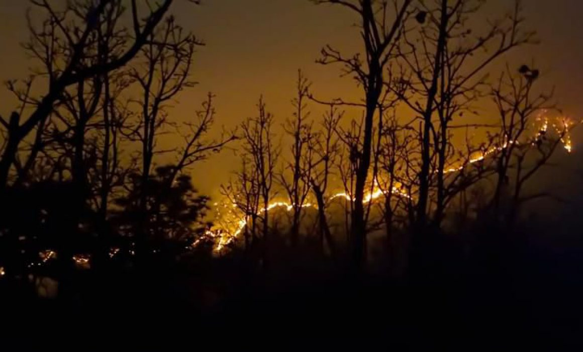 Campesinos de Guerrero denuncian que incendios forestales son incontrolables debido a la presencia de grupos delictivos
