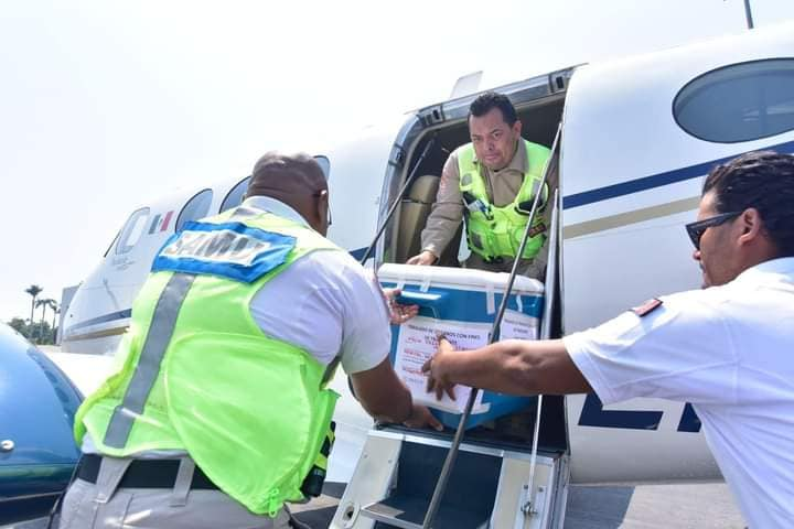 Reactivan en el IMSS, programa de donación de órganos en Acapulco tras huracán Otis