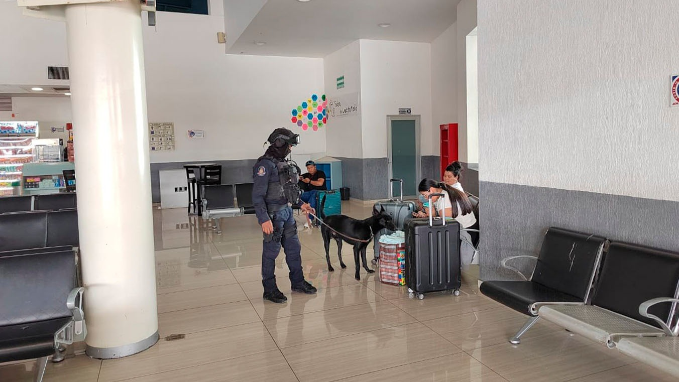 Refuerzan seguridad en centrales de autobuses de Chilpancingo con Policía Montada y binomios caninos