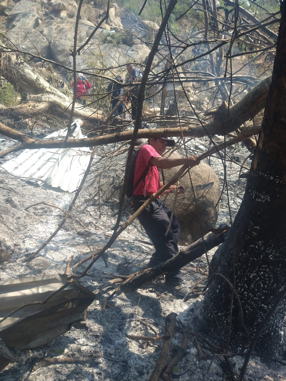 Controlan al 100 por ciento incendio en Cumbres de Llano Largo