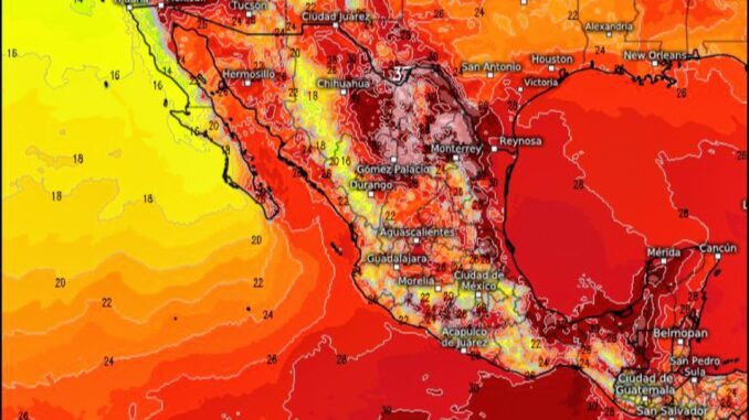 ¡Cuarta ola de calor golpea México en el Día Mundial del Medio Ambiente!