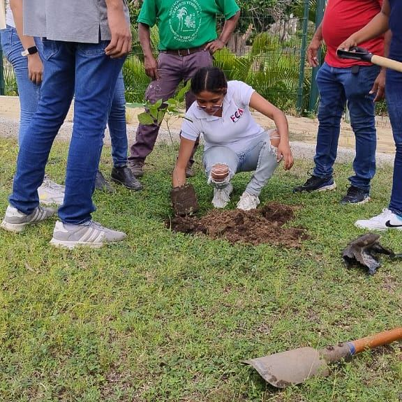 Reforestación en el Parque Papagayo,  un esfuerzo conjunto para revivir el pulmón verde de Acapulco
