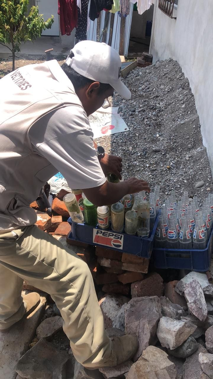 Refuerzan acciones contra el dengue en Guerrero