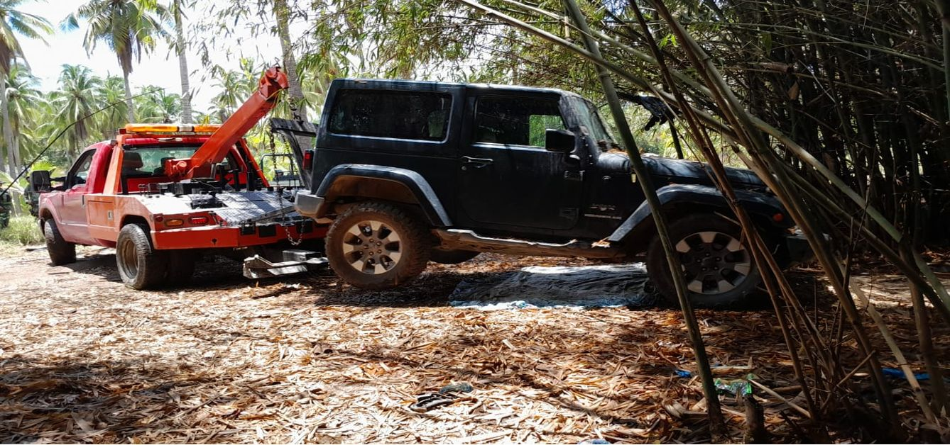 Desarticulan red criminal en Guerrero, decomisan explosivos y narcóticos en operativo conjunto