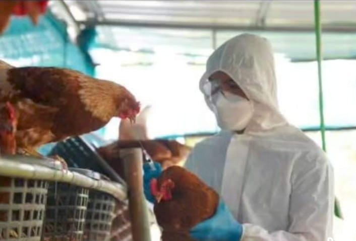 La Secretaría de Salud confirma primer caso humano de influenza aviar H5N2 en México