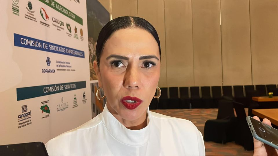 Alcaldesa electa de Zihuatanejo pide blindaje carretero y fortalecimiento turístico