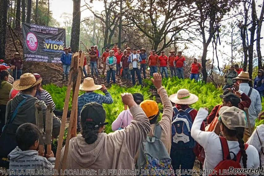 Reforestando Guerrero, 5 mil 500 Árboles Plantados en Acapulco, Teloloapan y Chilpancingo