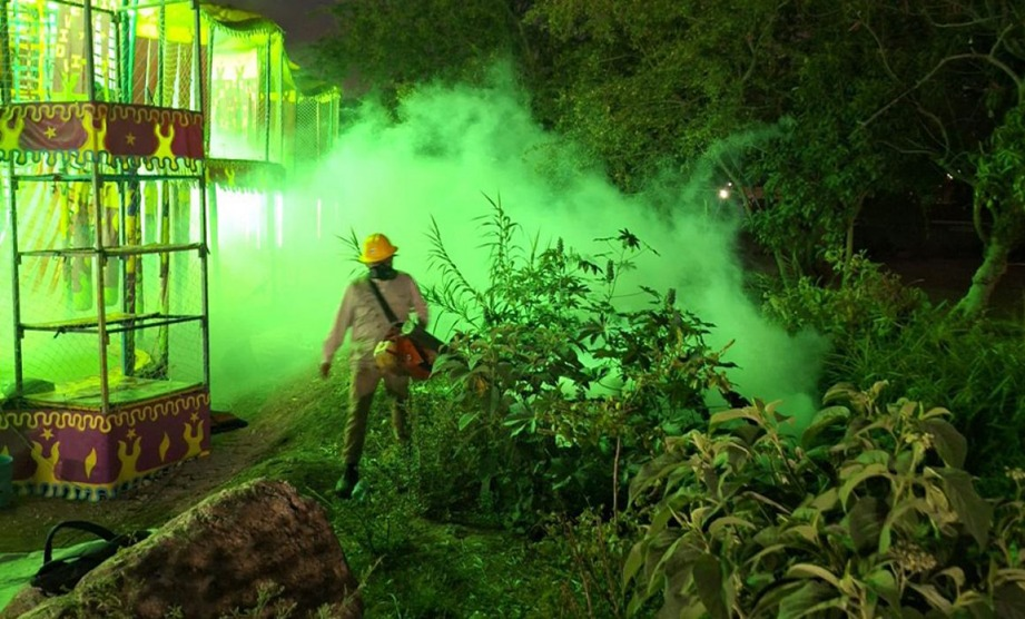 Guerrero Registra 21 Muertes por Dengue y Encabeza Casos Confirmados a Nivel Nacional