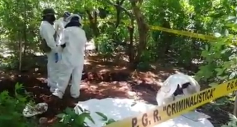 Denuncian hallazgo de 180 fosas clandestinas y más de 200 personas localizadas con vida en Acapulco