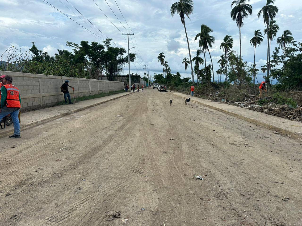 Concluyen casi al 100 por ciento la limpieza en calles y avenidas del municipio de Acapulco