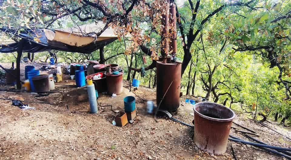 Aseguran y desmantelan narcolaboratorio en la Montaña de Guerrero