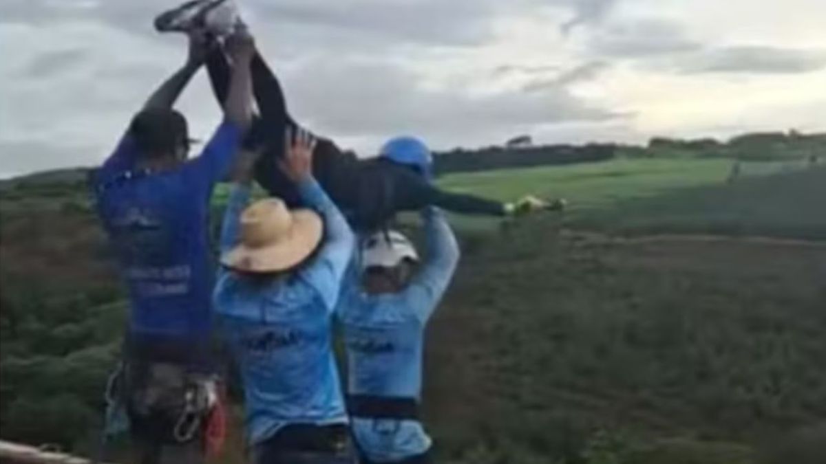 VIDEO: Muere una joven de 21 años al ser arrojada de un salto bungee sin cuerda en Brasil; hay seis detenidos