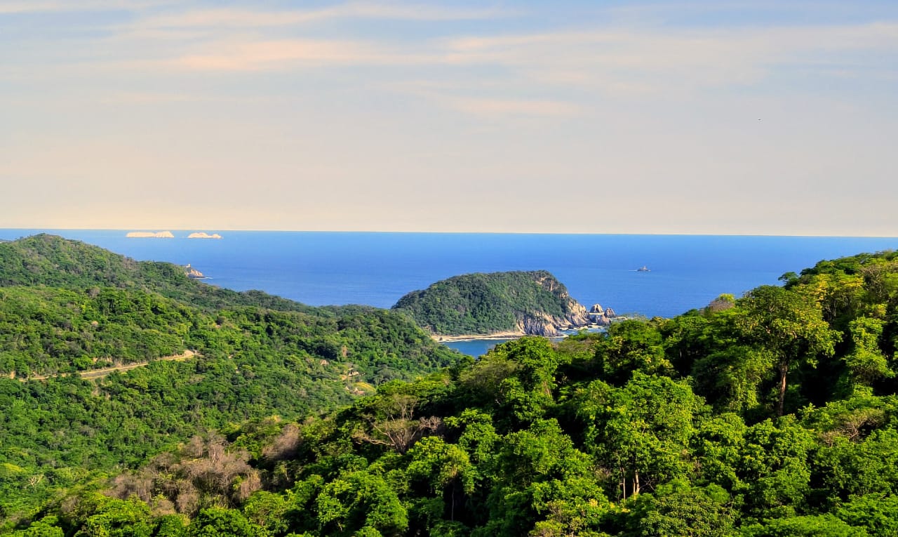 Proyectan nueva Área Natural Protegida marina en la Costa Grande de Guerrero; buscan equilibrar conservación y actividades productivas