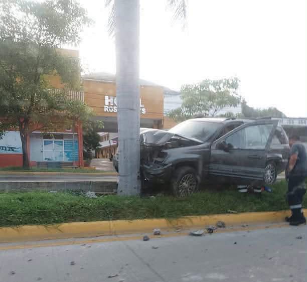 Estampa camioneta contra una palmera en el bulevar Paseo de Zihuatanejo