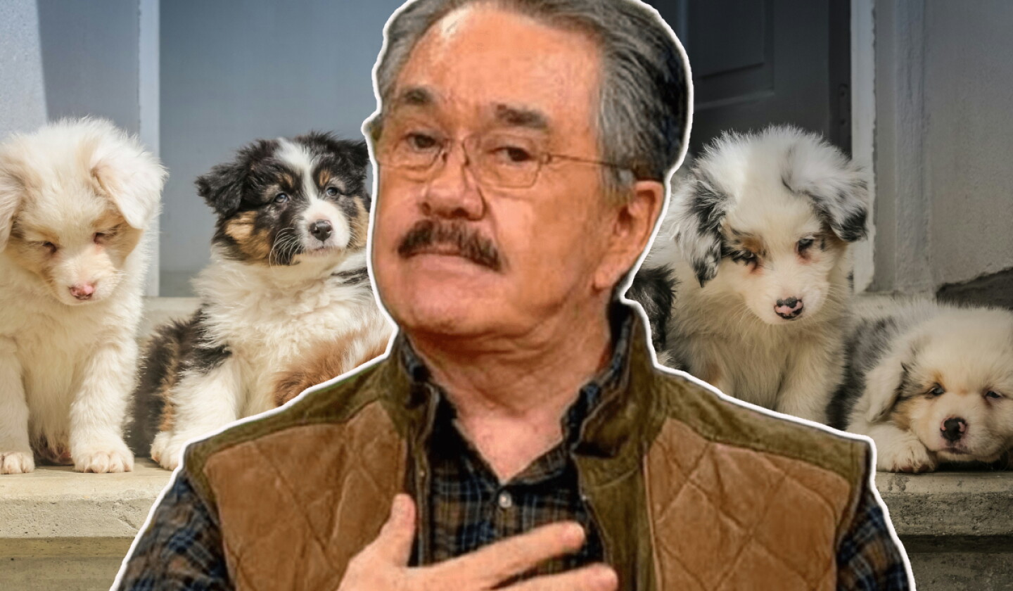 Interponen denuncia formal contra Pedro Sola por presunta apología al maltrato animal y piden cancelar a Ventaneando