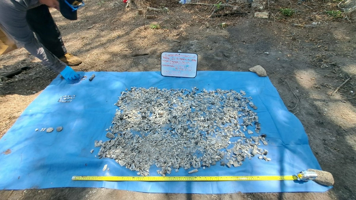 Localizan más de 100 fragmentos óseos durante búsqueda de Vicente Suástegui en Acapulco