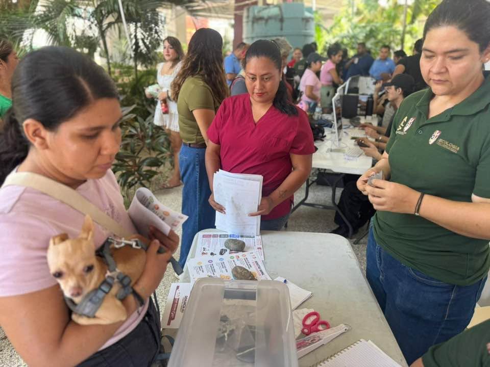 Acapulco inicia registro gratuito de perros y gatos; buscan censar 5 mil mascotas este año