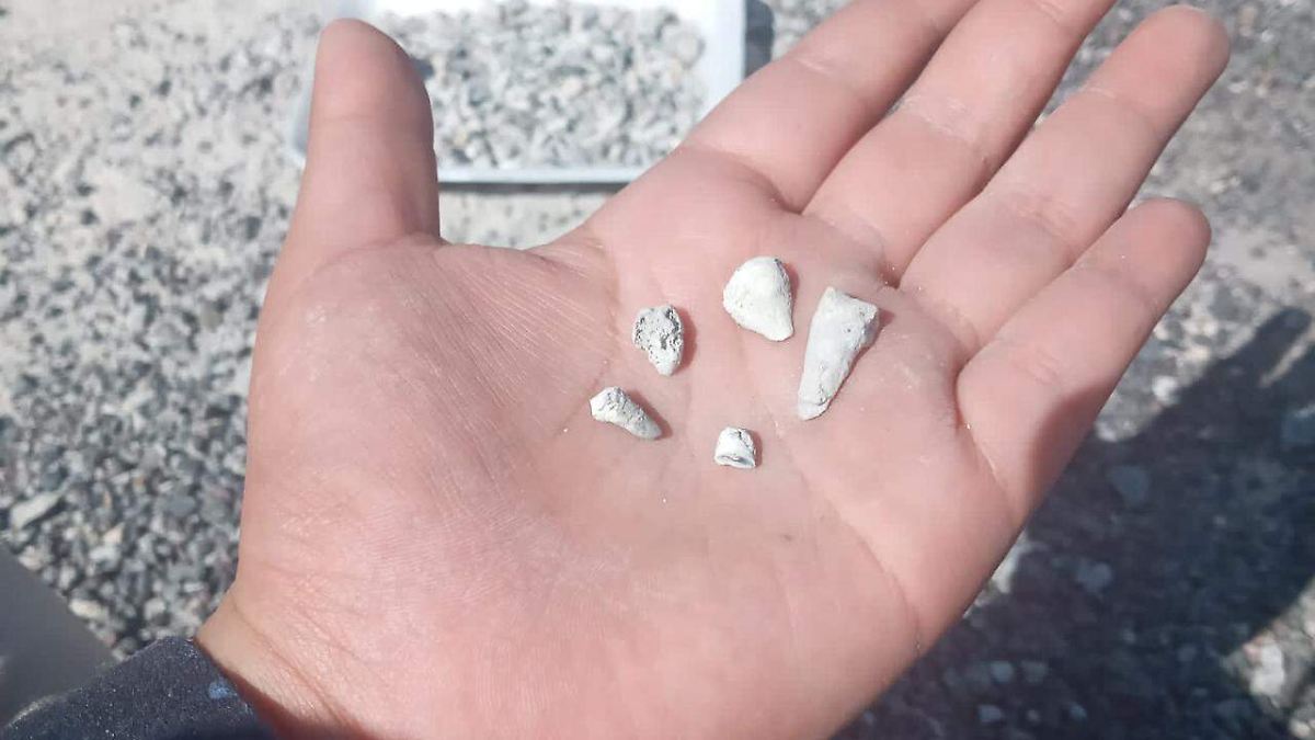 Hallan alrededor de mil 600 dientes de leche en fosas clandestinas de Michoacán; buscan saber a quién pertenecían